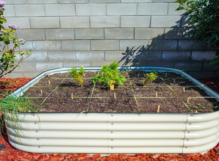 Garden Beds For Sale